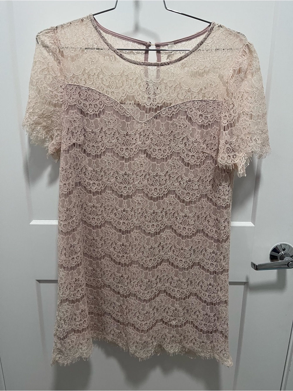 Blush Lace Shift Dress in Soft Pink